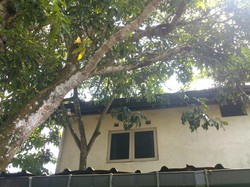Anne'S Maisonnette Galle Exterior foto
