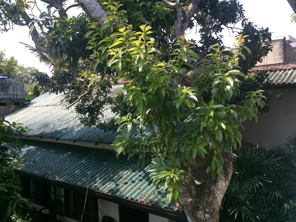 Anne'S Maisonnette Galle Exterior foto